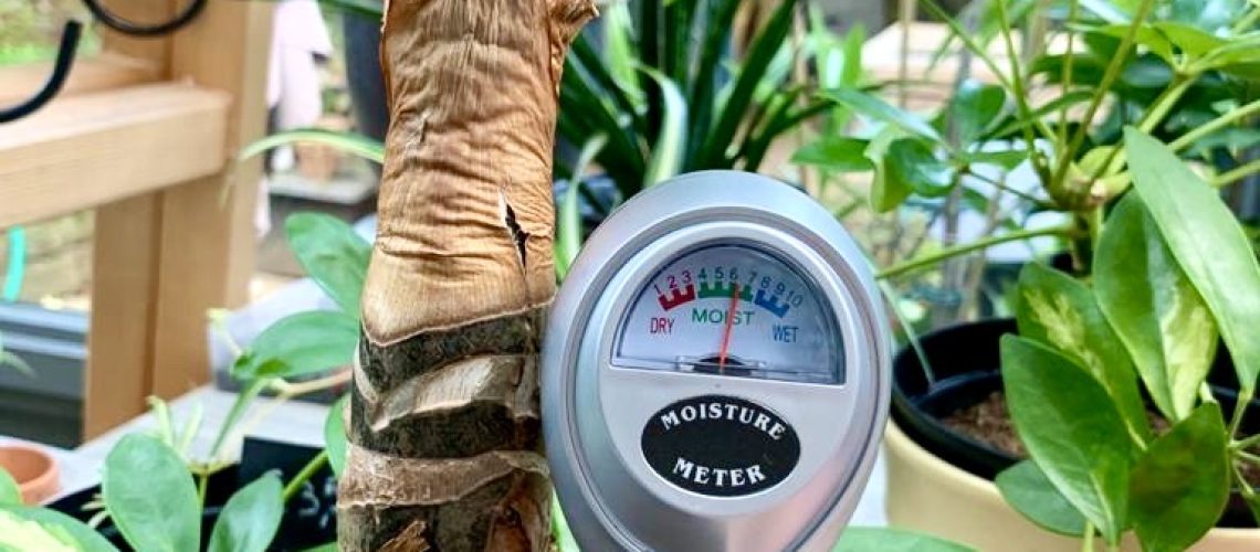 Vochtmeter